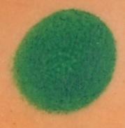 Load image into Gallery viewer, Cameleon Face Paint - Baseline Clover Green 32gr (BL3009)