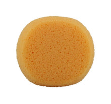 Load image into Gallery viewer, Jest Paint - Hydra Face Painting Sponge