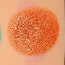 Load image into Gallery viewer, Paradise Face Paint By Mehron - Brilliant Orange 40gr