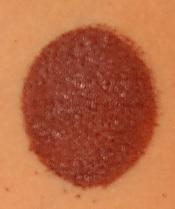 Load image into Gallery viewer, Cameleon Face Paint - Baseline Coffee Brown 32gr (BL3012)
