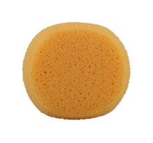 Load image into Gallery viewer, Jest Paint - Hydra Face Painting Sponge
