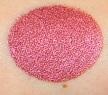 Load image into Gallery viewer, Cameleon Face Paint - Metal Rose Sugar 30gr (ML3009)
