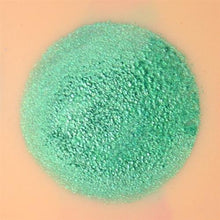 Load image into Gallery viewer, Paradise Face Paint By Mehron - Brilliant Vert Bouteille 40gr
