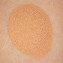 Load image into Gallery viewer, Paradise Face Paint By Mehron - Nuance Felou 40gr
