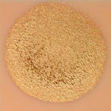 Load image into Gallery viewer, Paradise Face Paint By Mehron - Brilliant Dore 40gr
